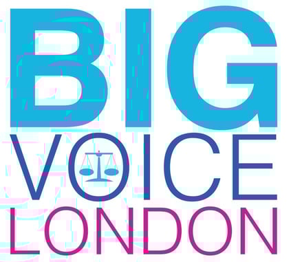 bigvoice